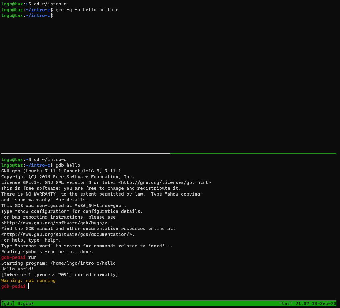 Run gdb