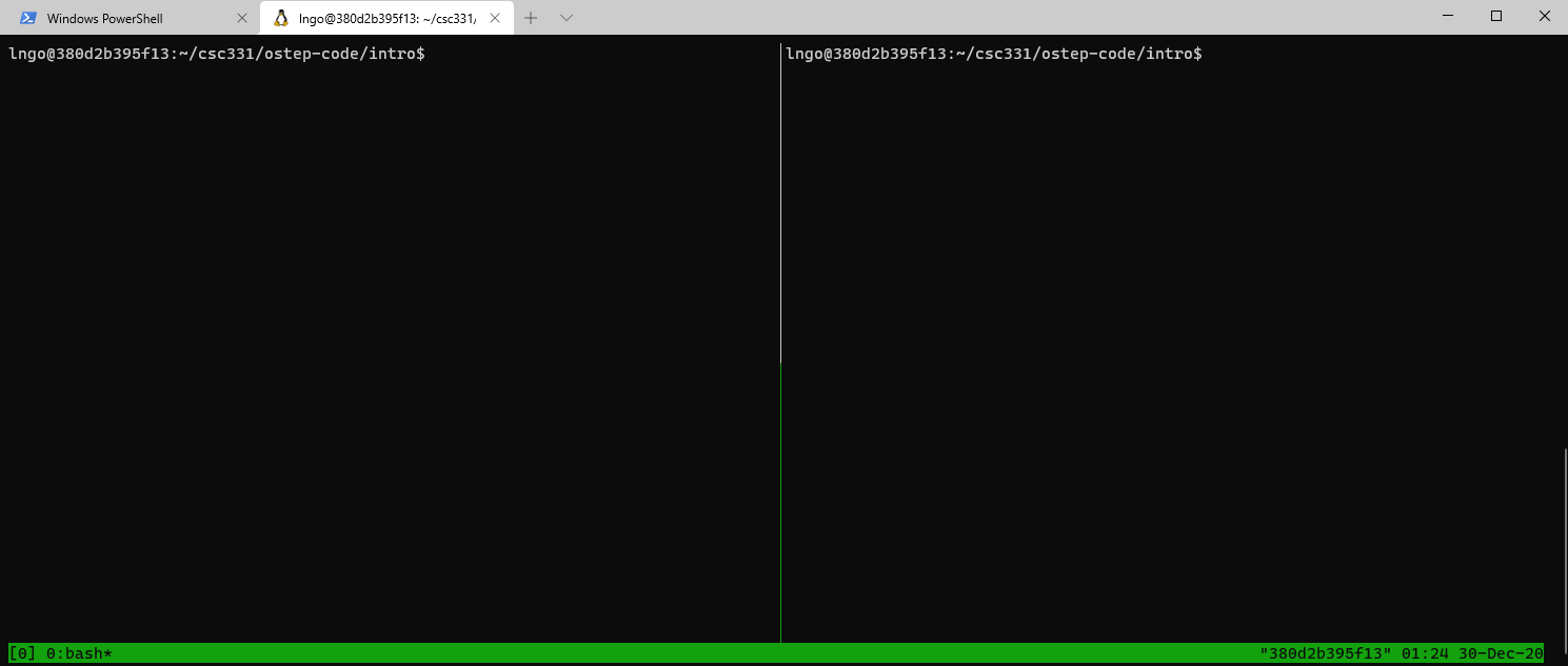 tmux terminal
