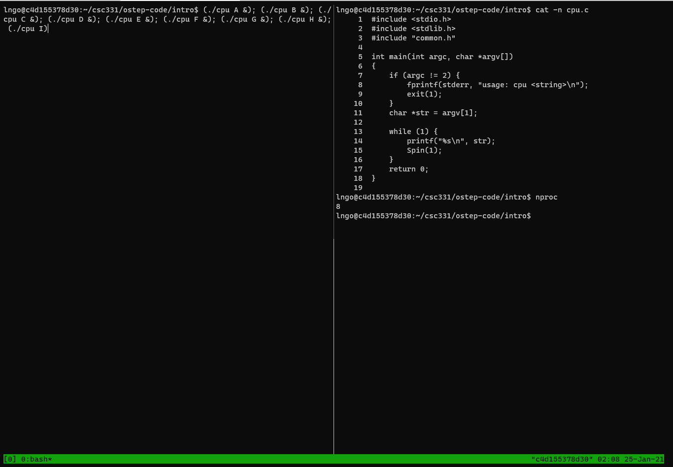 multiple runs of cpu