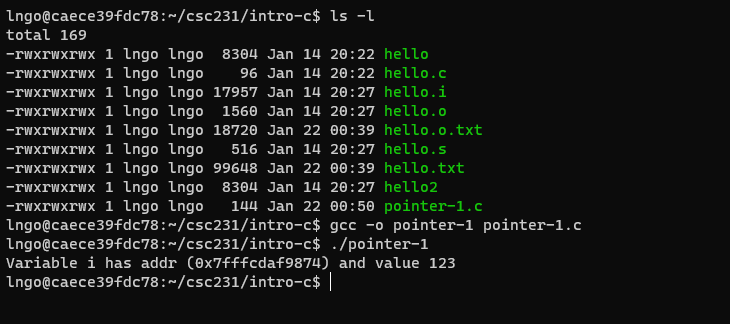Compile and run pointer-1.c