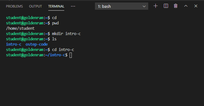 create intro-c directory