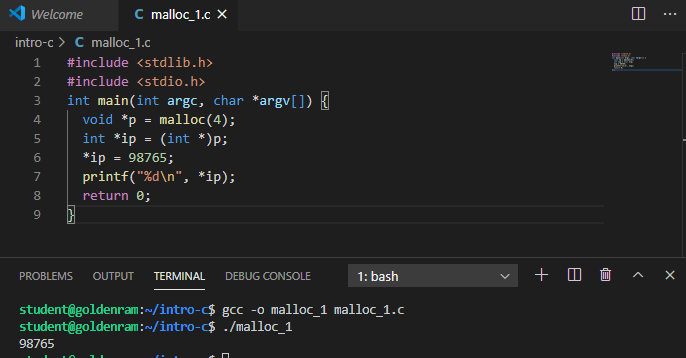 Compile and run malloc_1.c