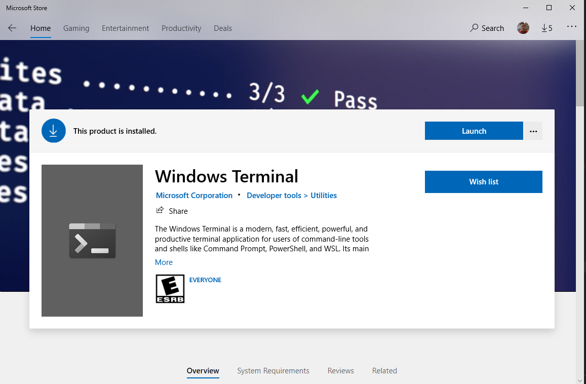 Windows terminal