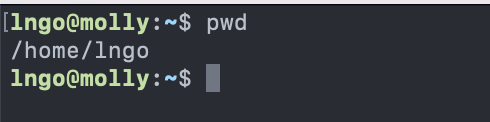 Path to current working directory
