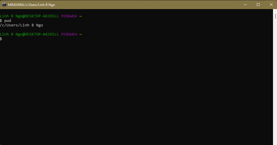 Git Bash windows