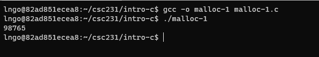 Compile and run malloc-1.c