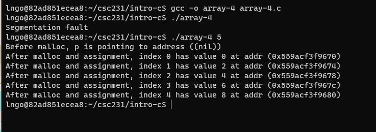Compile and run array-4.c