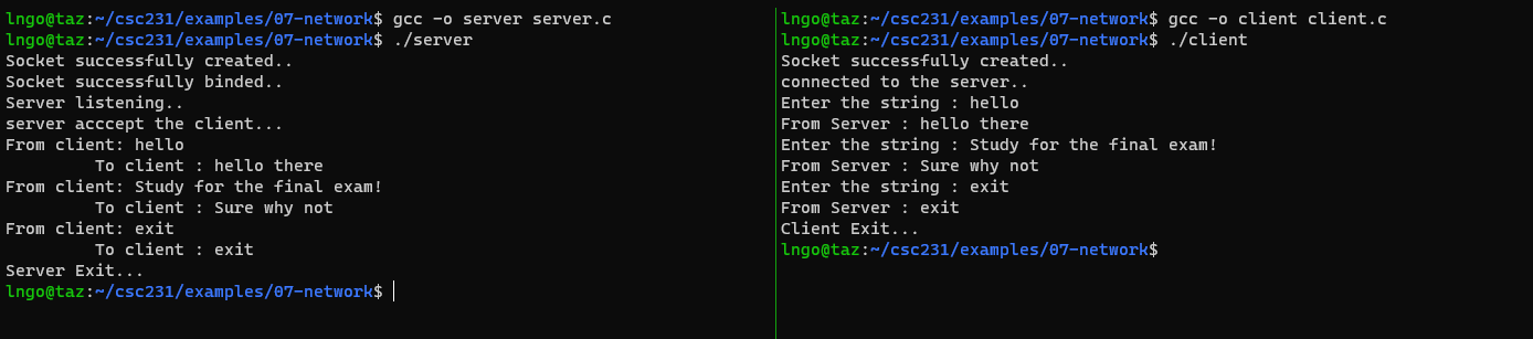 server/client
