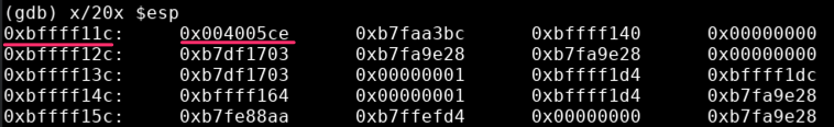 type input