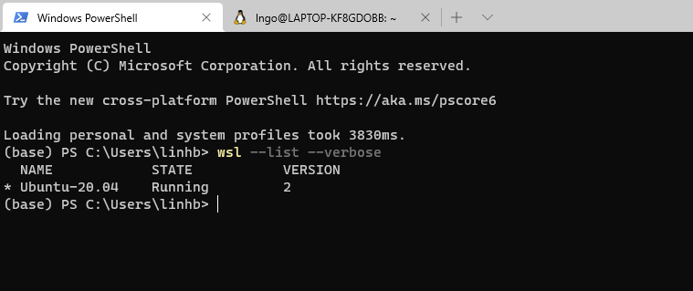 Check Linux subsystem version