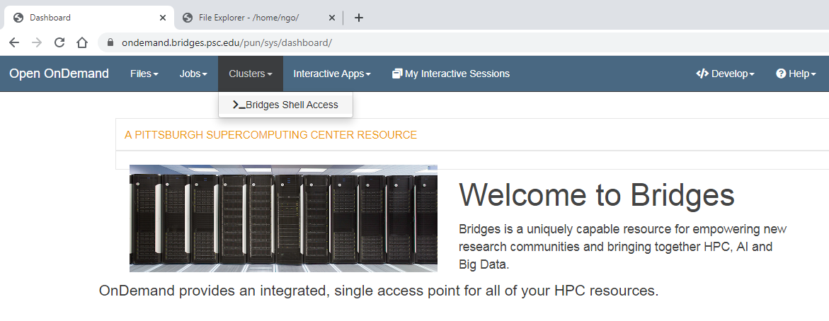 Bridges Shell Access