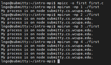 compile and run first.c