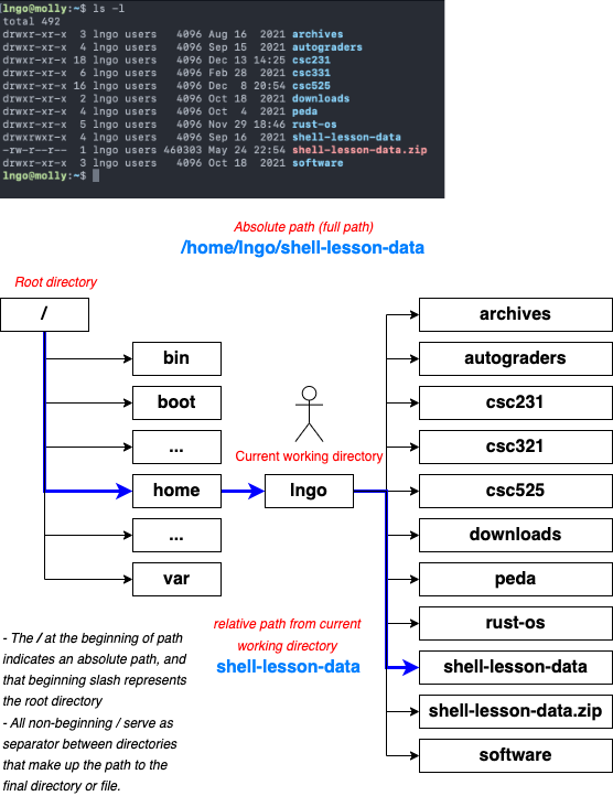 Command line interface perspective