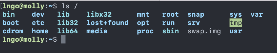 Listing of directories and files in the root directory