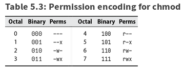 File type permission
