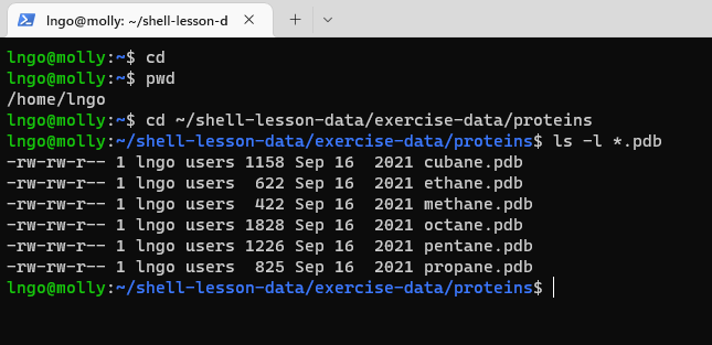 List files in current directory
