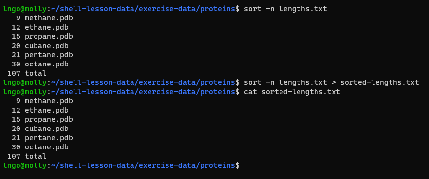 Redirect sorted outputs to a file